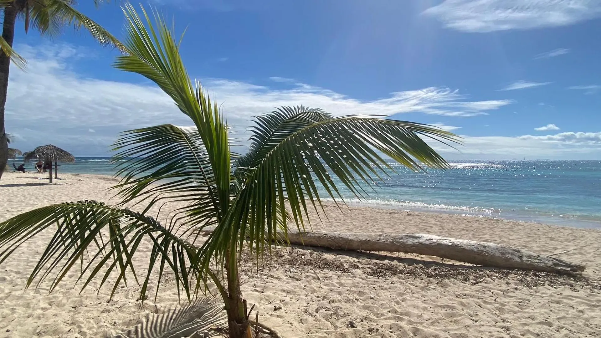 Le Kalinao, Anse Des Rochers Plage, Piscine Et Cocotiers Сен-Франсуа 0*,