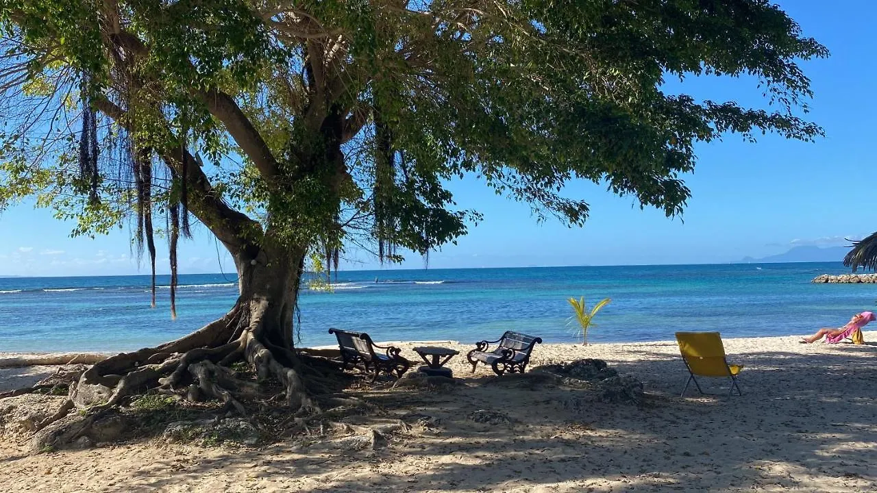 Le Kalinao, Anse Des Rochers Plage, Piscine Et Cocotiers 생프랑수아 아파트